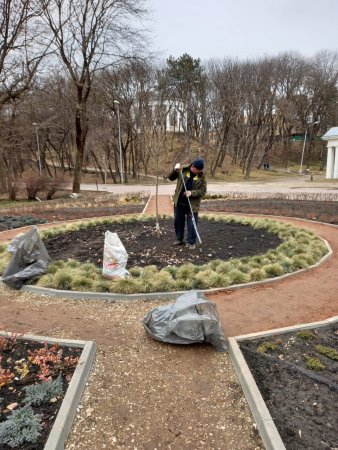 Полсотни редких растений унесли вандалы с курортной клумбы Ессентуков