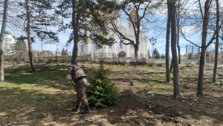 В пятигорском сквере им. Л.Н. Толстого началось озеленение