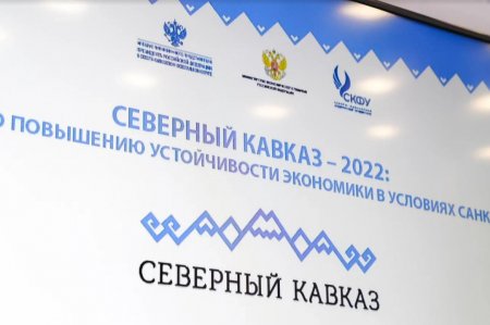 Минэкономразвития предлагает «донастроить» меры поддержки Кавказ.РФ в условиях внешних санкций