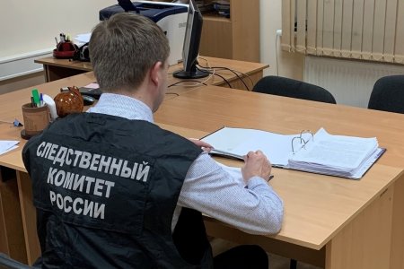 В Сочи будут судить владельца собак, загрызших девочку-подростка