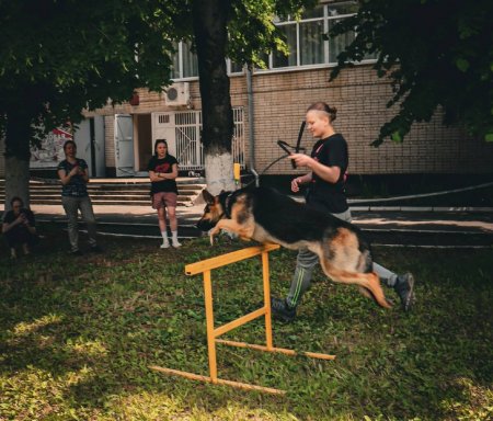 В Армавире прошла спортивно-кинологическая эстафета «Дог-старт»